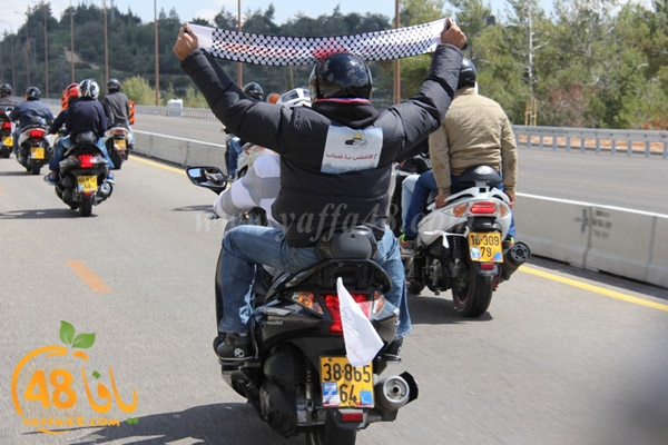 masira3j hasdj3 (71).JPG